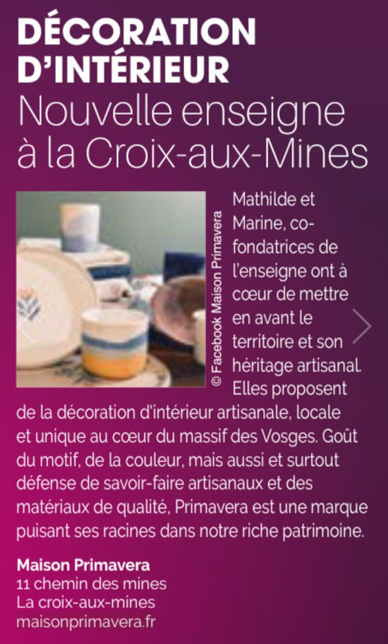 Capture d'écran de l'article de presse de 100% Vosges de janvier 2025